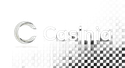 Casinia